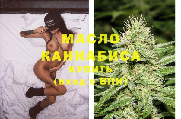 ГАЛЛЮЦИНОГЕННЫЕ ГРИБЫ Дмитриев
