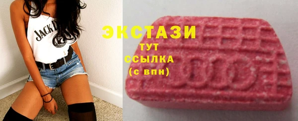 ГАЛЛЮЦИНОГЕННЫЕ ГРИБЫ Дмитриев