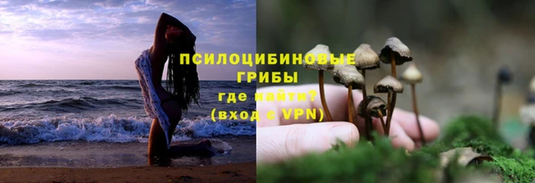 амф Дмитровск