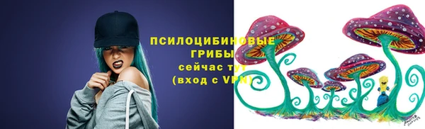 ECSTASY Нязепетровск