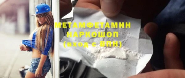 ГАЛЛЮЦИНОГЕННЫЕ ГРИБЫ Дмитриев