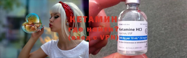 ГАЛЛЮЦИНОГЕННЫЕ ГРИБЫ Дмитриев