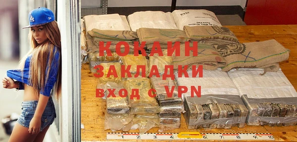 ГАЛЛЮЦИНОГЕННЫЕ ГРИБЫ Дмитриев