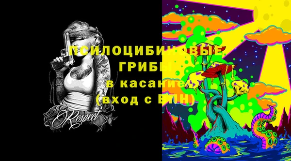 ГАЛЛЮЦИНОГЕННЫЕ ГРИБЫ Дмитриев